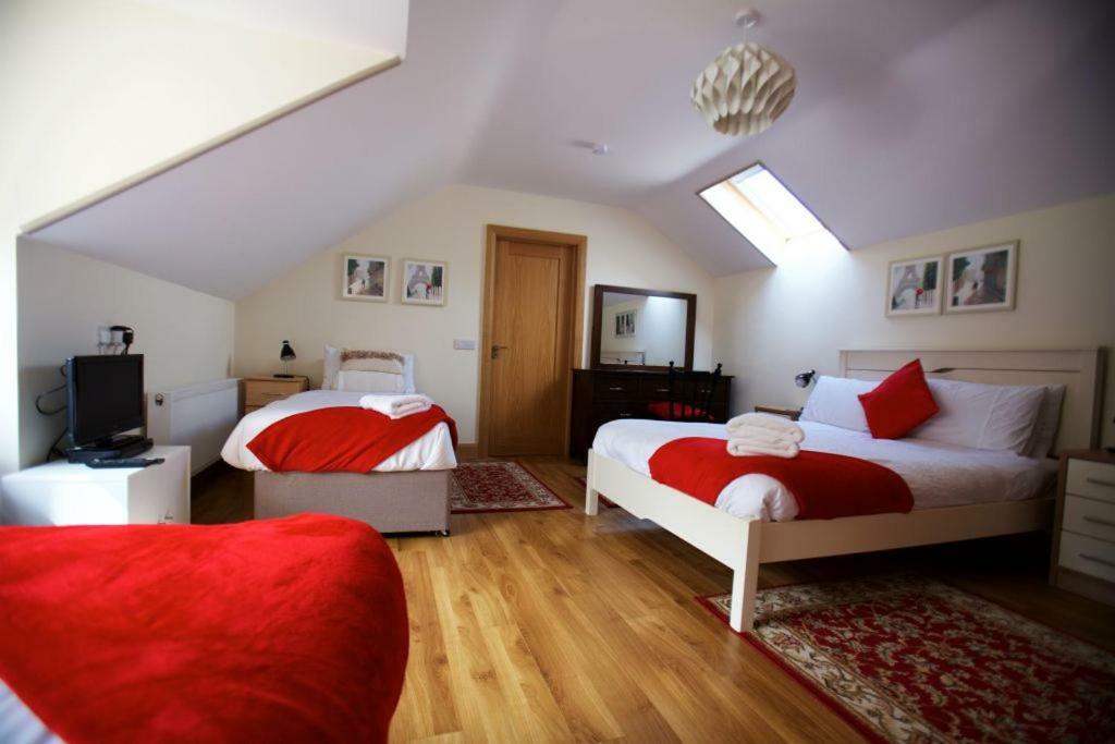 Woodview House Bed And Breakfast Κορκ Εξωτερικό φωτογραφία